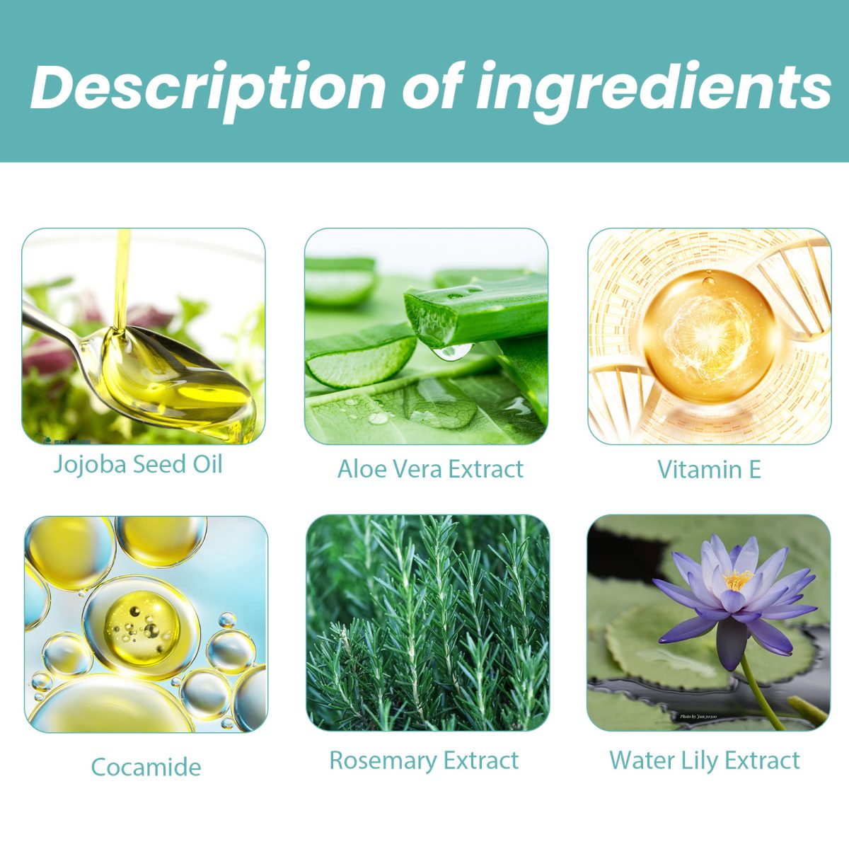 Natural Moisturizing Shower Oil with Plant Oils