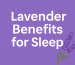 lavender for relaxation