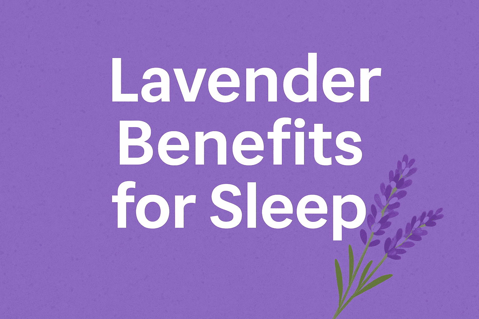 lavender for relaxation